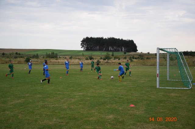 plewis 9